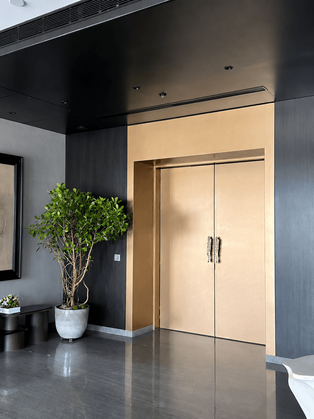 Luxury Residential Interior Projects showcase 6